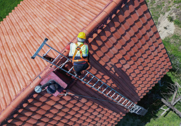 Roof Moss and Algae Removal in Moss Bluff, LA